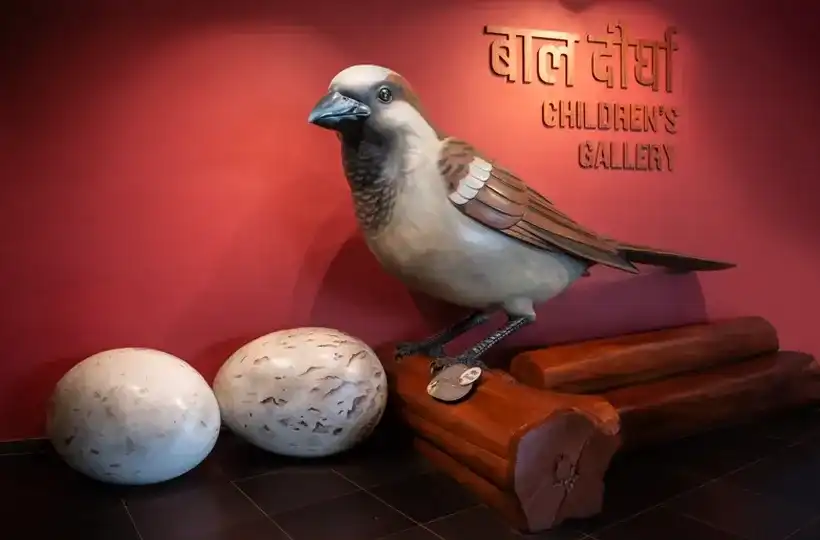 The sparrow - Bihar’s state bird