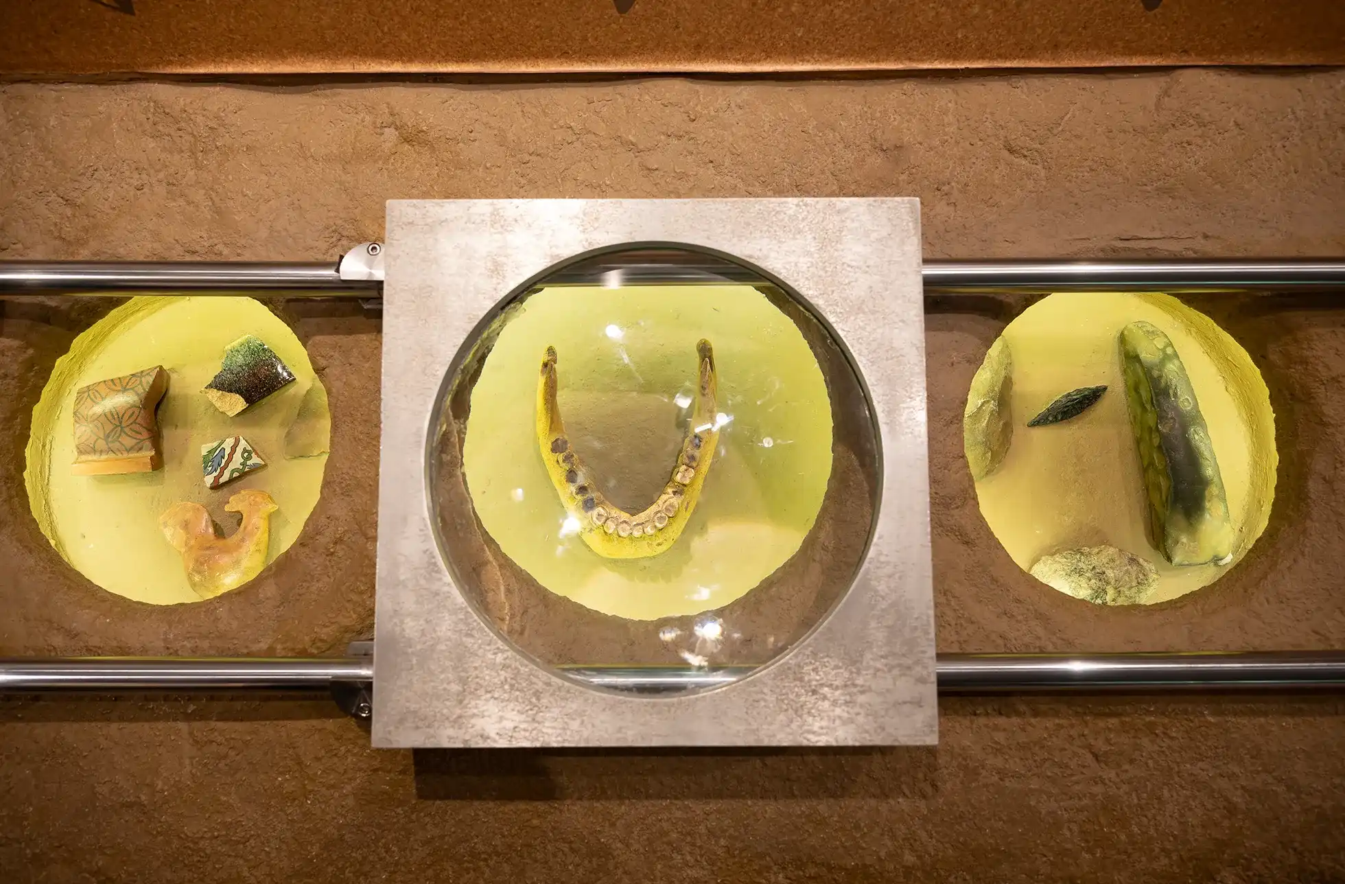 Replicas of fossils under magnifying glass